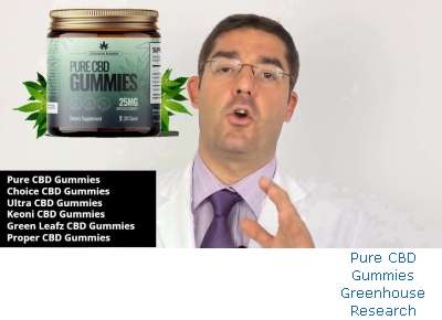 Pure CBD Gummies Weight Loss